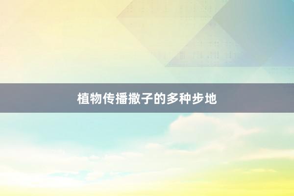 植物传播撒子的多种步地