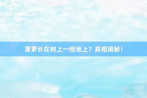 菠萝长在树上一经地上？真相揭秘！