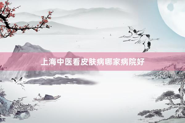 上海中医看皮肤病哪家病院好