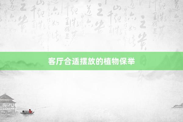 客厅合适摆放的植物保举