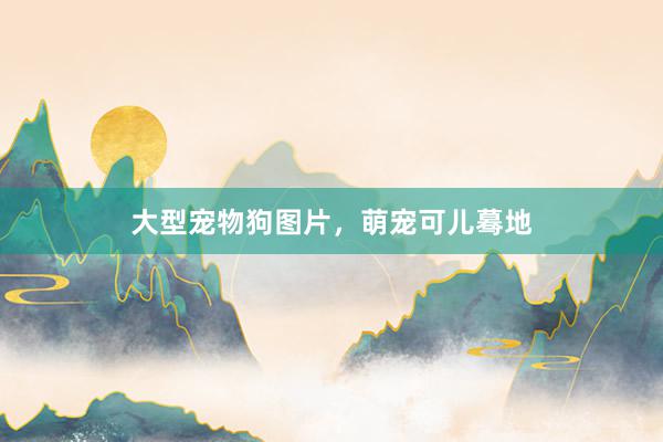 大型宠物狗图片，萌宠可儿蓦地