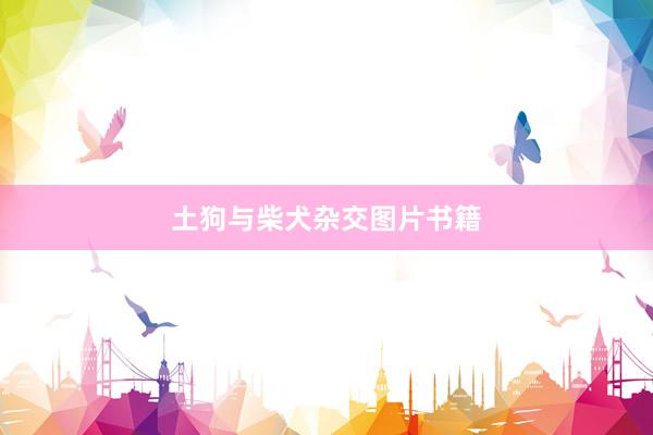 土狗与柴犬杂交图片书籍