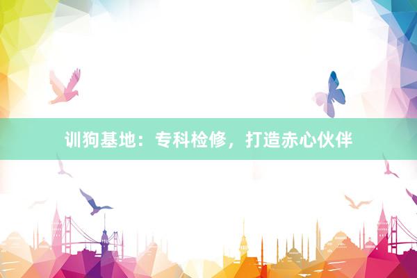 训狗基地：专科检修，打造赤心伙伴